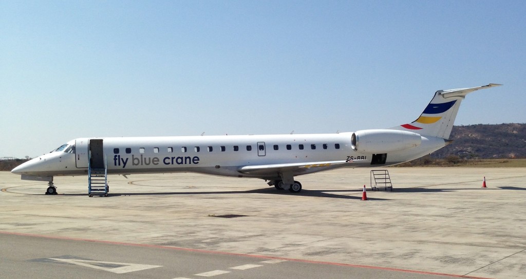 Fly Blue Crane